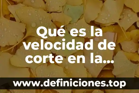 Que es la velocidad es directamente proporcional al espacio recorrido 8 Qué es la velocidad de corte en la molienda