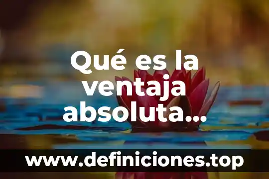 Qué es la ventaja absoluta ejemplos