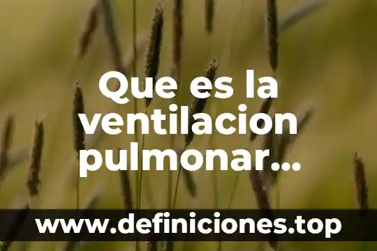 Para que es el sistema respiratorio 4 Que es la ventilacion pulmonar sistema respiratorio