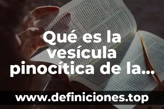 Que es una vesícula cubierta en un sistema endomembranoso 6 Qué es la vesícula pinocítica de la célula vegetal