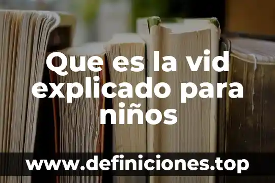 Que es un adjetivos explicado para niños 3 Que es la vid explicado para niños