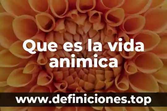 Que es la vida animica
