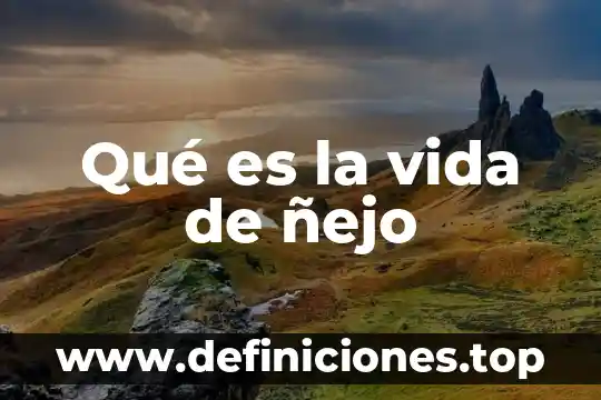 Que es visme y para que sirve 4 Qué es la vida de ñejo