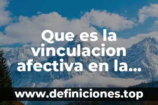 Que es la vinculación política 5 Que es la vinculacion afectiva en la sexualidad humana