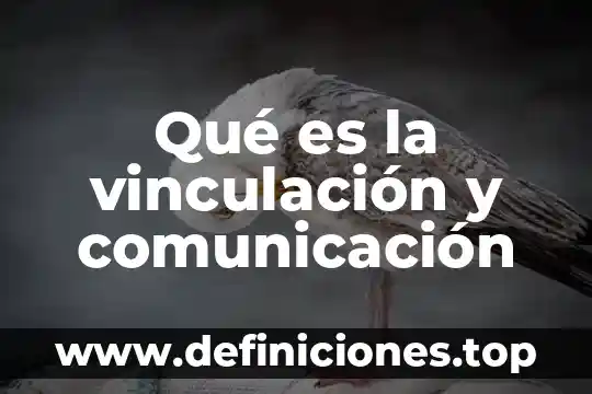 Que es la vinculación política 4 Qué es la vinculación y comunicación