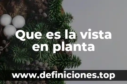 Que es la vista en planta