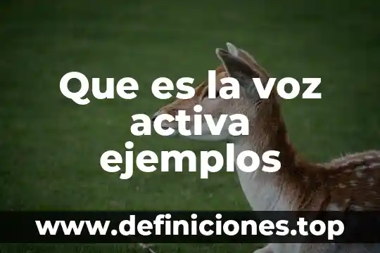 Que es la parte activa de los plantas medicinales 4 Que es la voz activa ejemplos