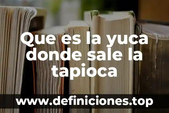 Qué es lo blanco que le sale a las mujeres 3 Que es la yuca donde sale la tapioca