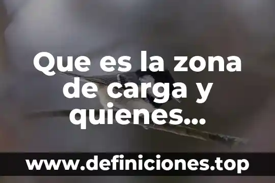 Que es una carga controladas 7 Que es la zona de carga y quienes participan