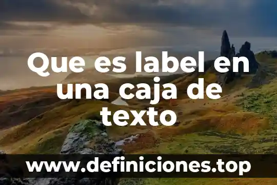 Que es un texto enumerativo 5 Que es label en una caja de texto