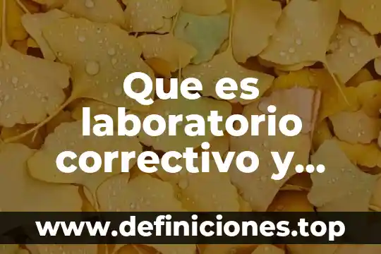 Que es una hornilla electrica de laboratorio 7 Que es laboratorio correctivo y sus elementos