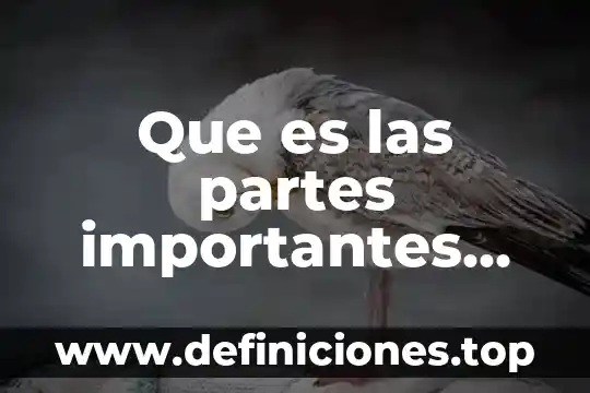 Que es las partes importantes para llegar a una teoría