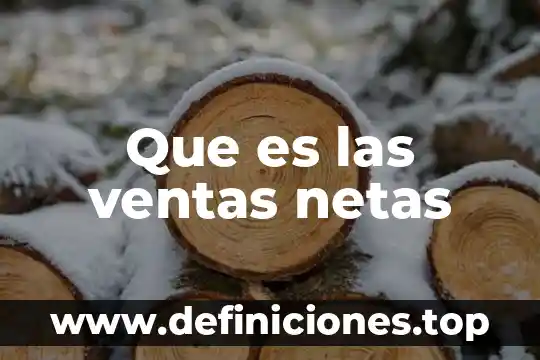 Conocimiento erp de ventas que es 8 Que es las ventas netas
