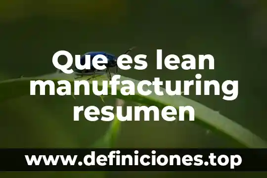 Que es lean manufacturing resumen