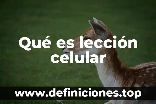 Que es el codigo mmi en mi celular 6 Qué es lección celular