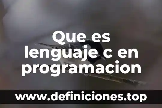 Que es lenguaje c en programacion