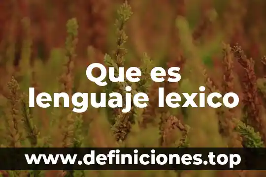 Que es lenguaje lexico