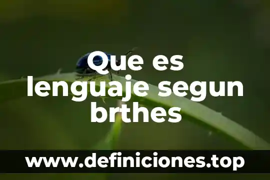 Qué es el lenguaje corporal en posturas 5 Que es lenguaje segun brthes