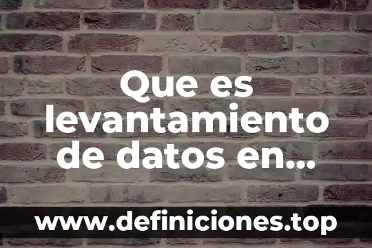 Que es conectividad de datos 3 Que es levantamiento de datos en campo