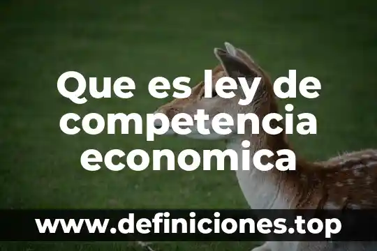 Que es ley de competencia economica