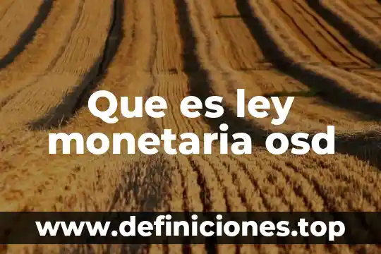 Que es una variable monetaria 4 Que es ley monetaria osd