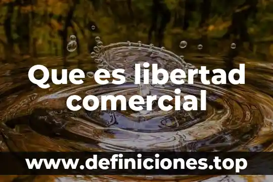 Que es libertad comercial