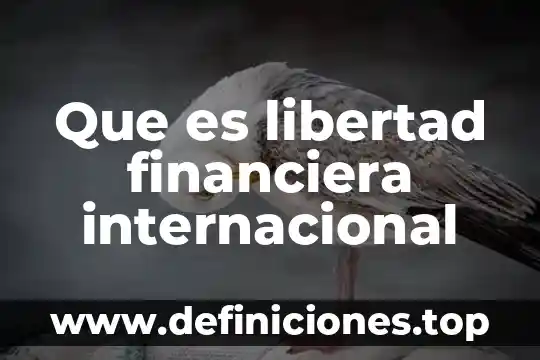 Que es una industria semi automatizada 4 Que es libertad financiera internacional