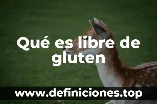Qué es el amasado y desarrollo de gluten 3 Qué es libre de gluten