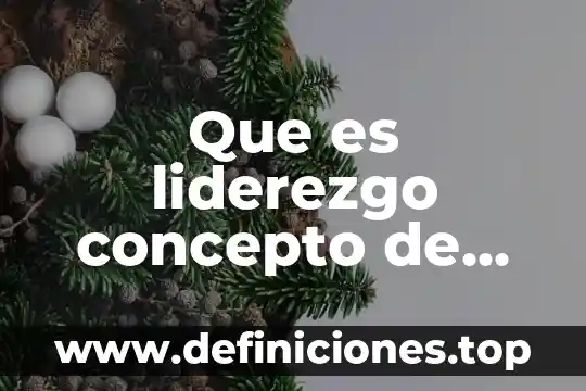 Que es capacidad ejemplos cortos 5 Que es liderezgo concepto de autor