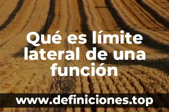 Qué es límite lateral de una función