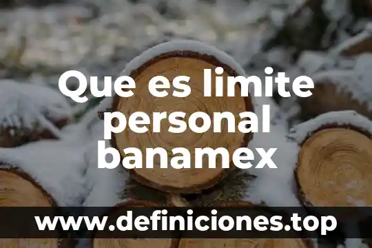 Qué es un ensayo personal 6 Que es limite personal banamex