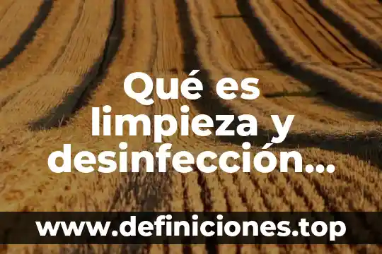 Que es desinfeccion en alimentos 3 Qué es limpieza y desinfección en enfermería