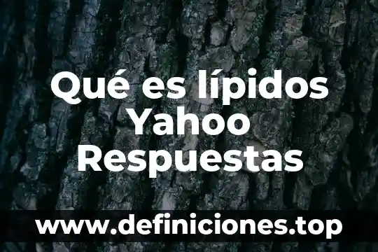 Que es una respuestas breves ejemplos 3 Qué es lípidos Yahoo Respuestas