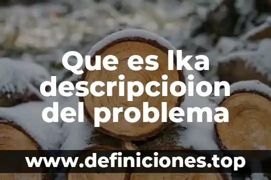 Que es un problema multidisciplinar 3 Que es lka descripcioion del problema