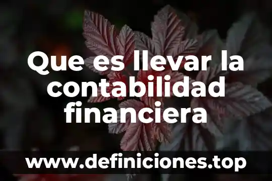 Que es gestion financiera 4 Que es llevar la contabilidad financiera