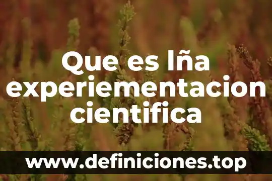 Que es la investigación científica biomédica 5 Que es lña experiementacion cientifica