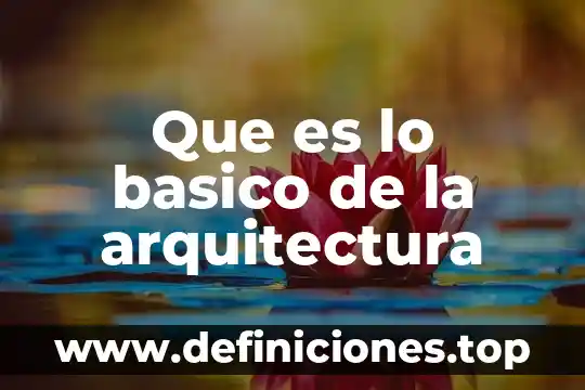 Que es programa básico 7 Que es lo basico de la arquitectura