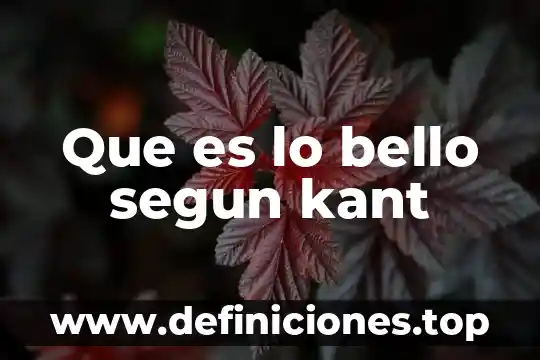 Que es el conocimiento del ser kant 7 Que es lo bello segun kant
