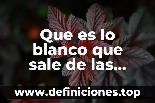 Que es lo blanco que sale de las cucarachas