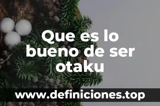 Que es lo bueno de ser otaku