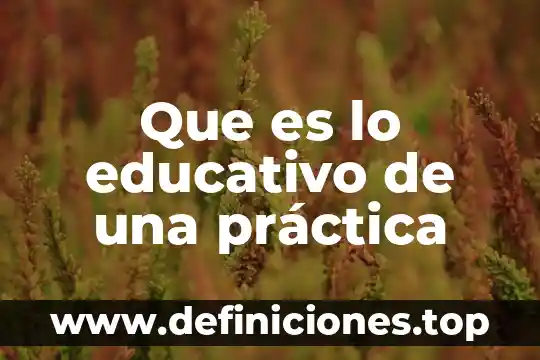 Que es lo educativo de una práctica
