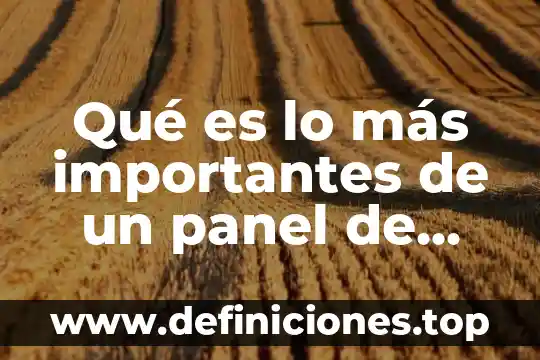 Qué es lo más importantes de un panel de discusión