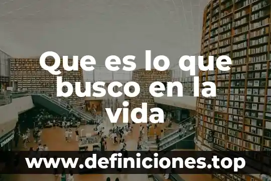 Que es lo que busco en la vida