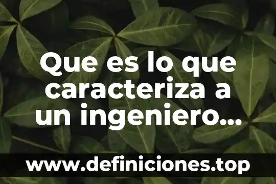 Que es lo que caracteriza a un ingeniero en sistemas