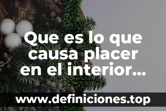 Que es placer en la psicologia 3 Que es lo que causa placer en el interior vagina