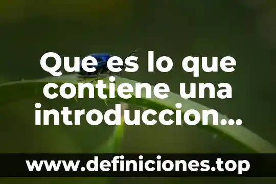 Que es el gobierno en introduccion al estudio del derecho 6 Que es lo que contiene una introduccion en un informe