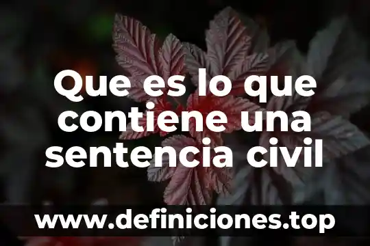 Que es un juicio de orden civil 3 Que es lo que contiene una sentencia civil