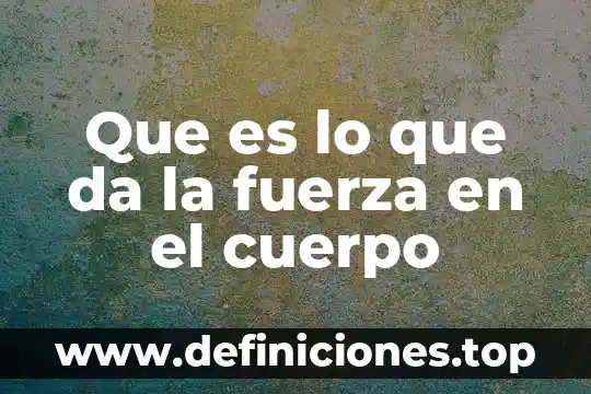 Que es fuerza de core 3 Que es lo que da la fuerza en el cuerpo