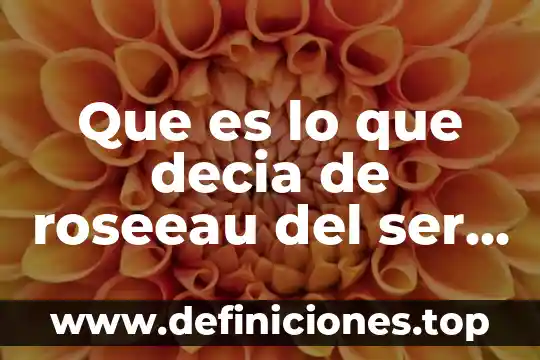 Que es lo que decia de roseeau del ser humano