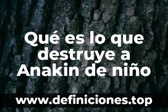Qué es lo que destruye a Anakin de niño